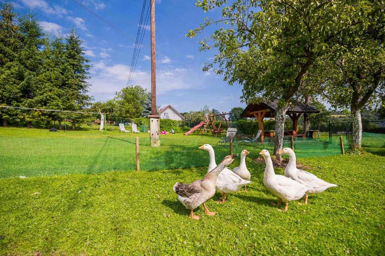 Villa Bieszczadzki Krakowiak 575-894-584 Lub 535-595-732 Polańczyk Esterno foto